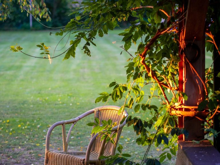 Profilbild Stefanie Lemmer